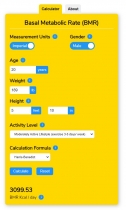 Basal Metabolic Rate BMR Calculator WordPress Screenshot 3